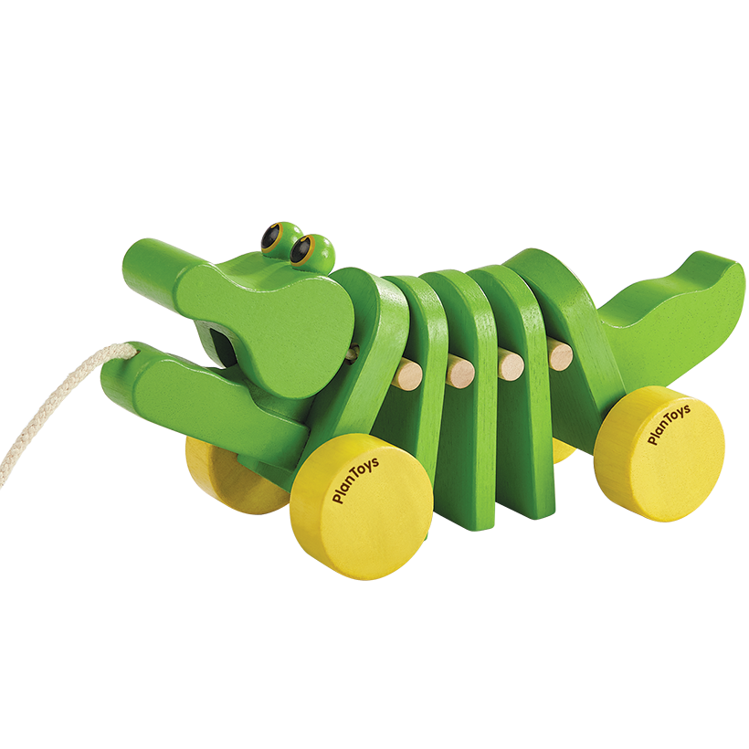 Dancing Alligator