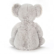 Bashful Koala