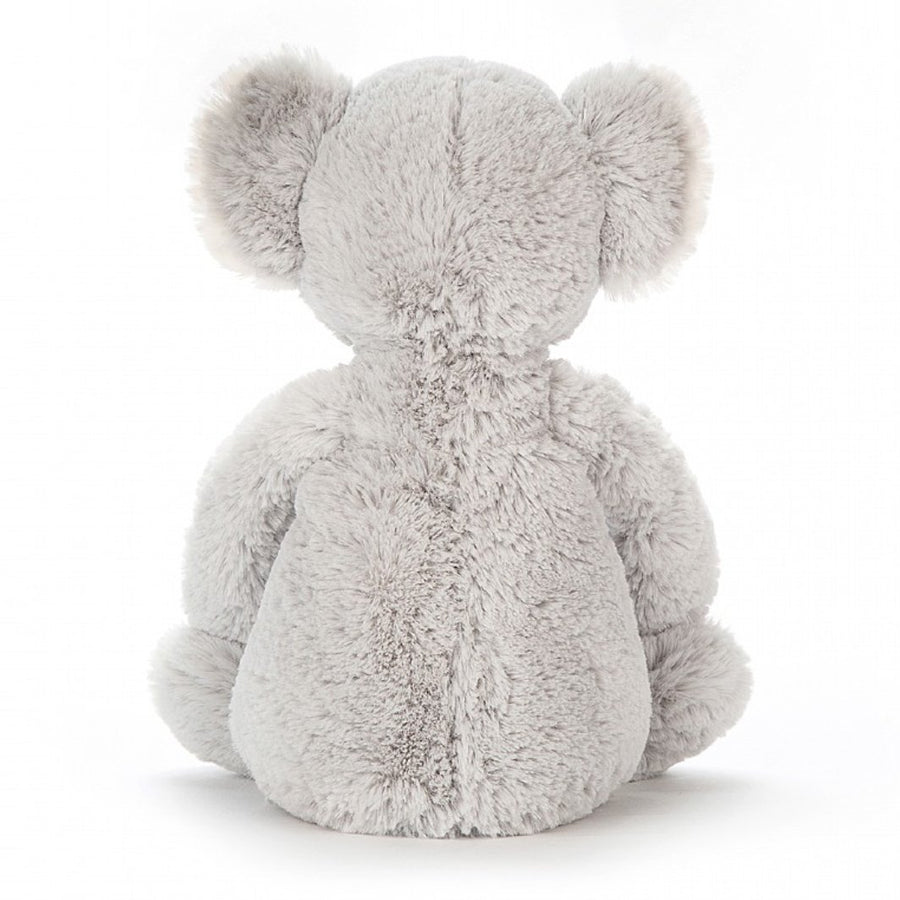 Bashful Koala
