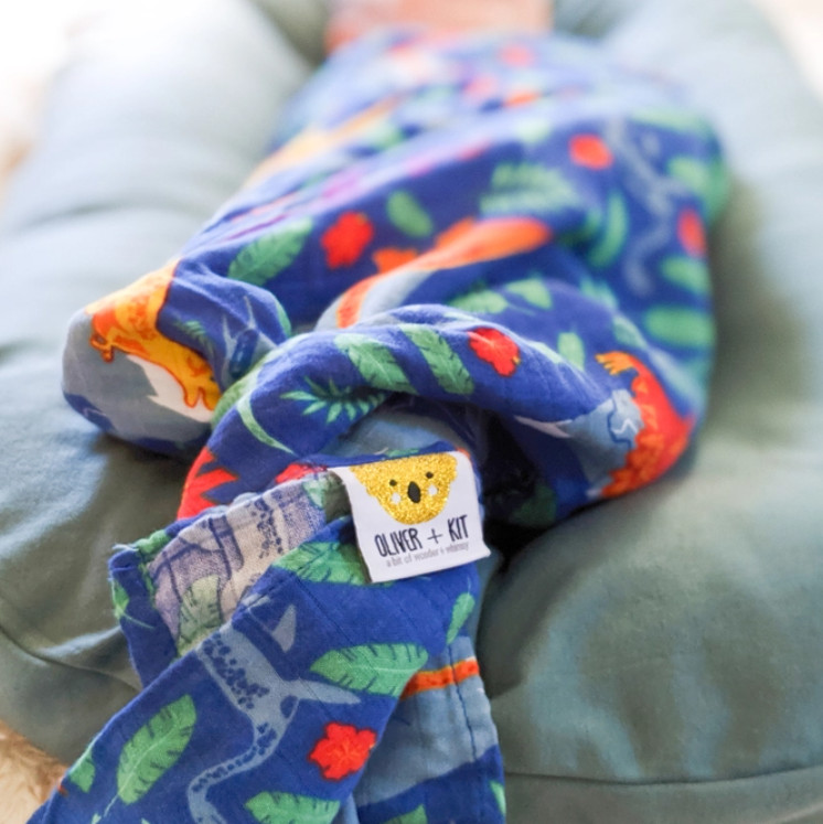 Rainbow Dinos Swaddle Blanket
