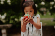 Strawberry Rattle