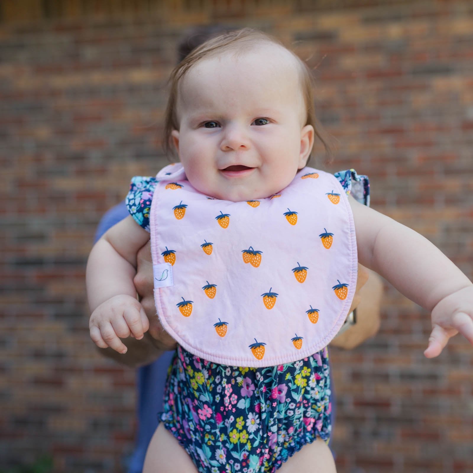 Berry Charlie Bib