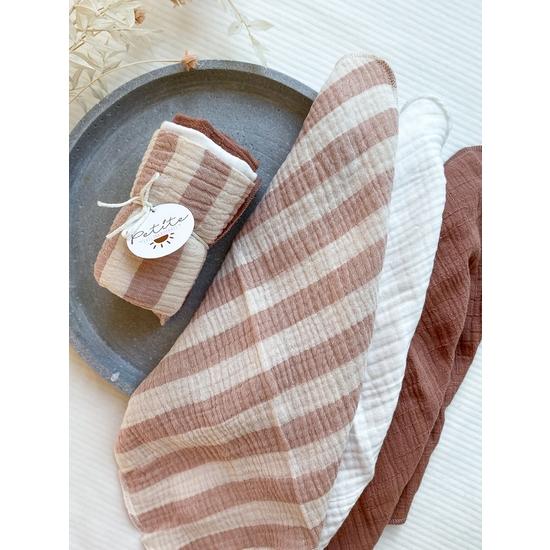 Burp Cloth Set in Stripes