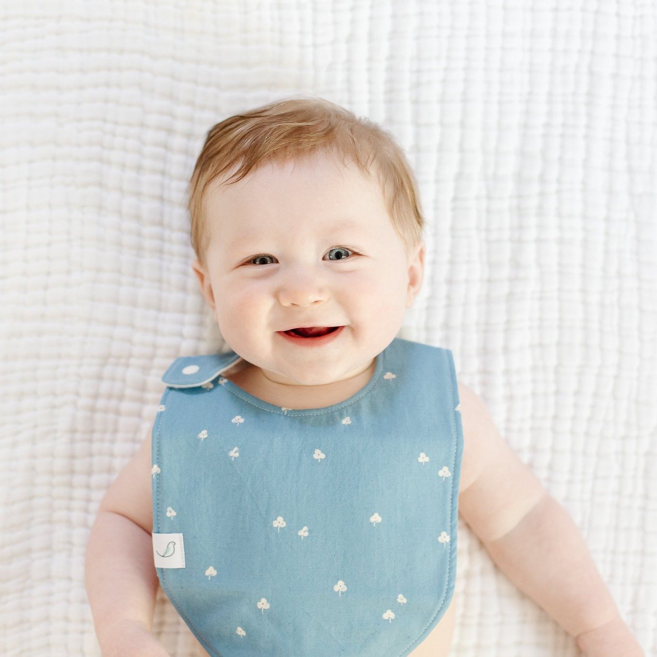 Clover Charlie Bib