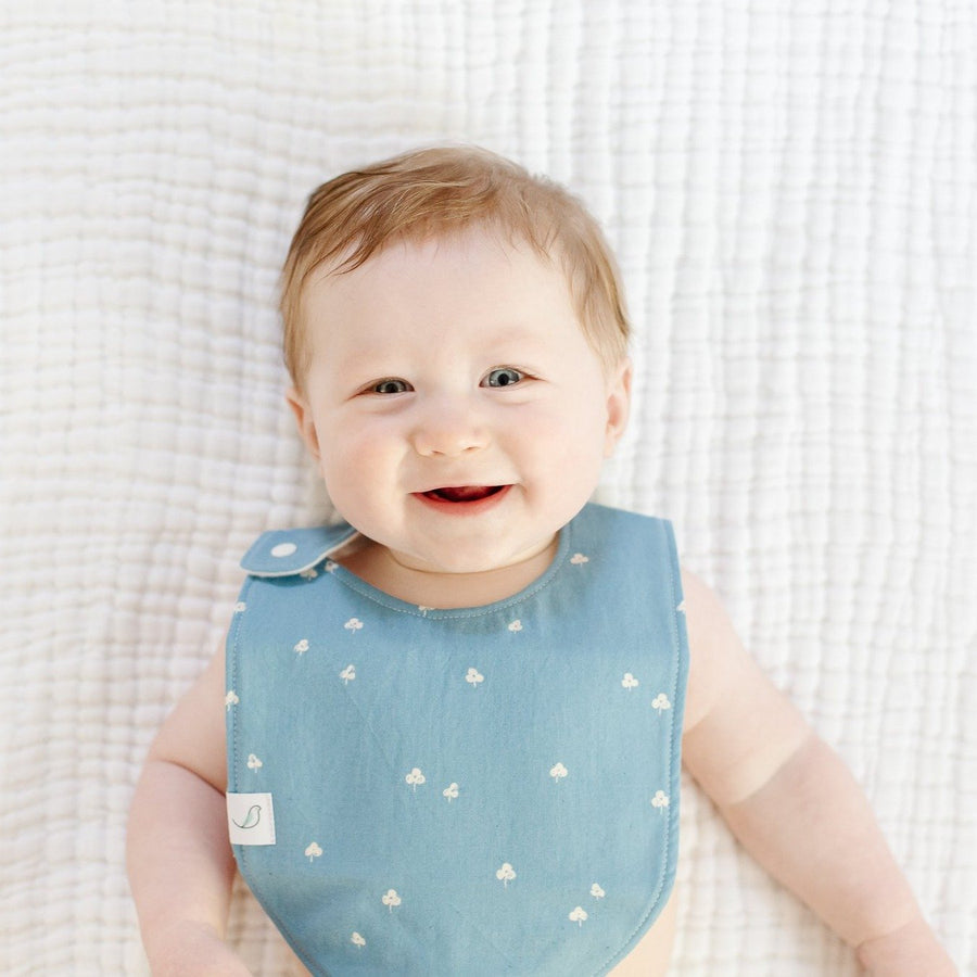 Clover Charlie Bib