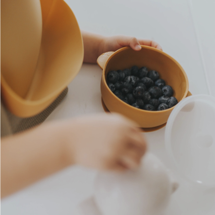 Mustard Baby Suction Bowl